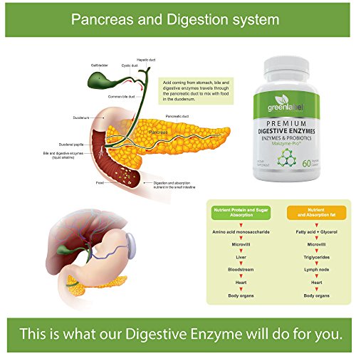 Premium Gluten Free Digestive Enzymes With Probiotics For IBS, Bloating ...