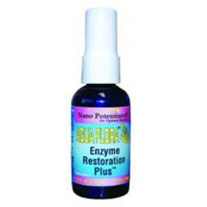 King Bio Natural Medicines Enzyme Restoration - 2 OZ